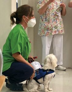 Elanco colabora con CTAC para llevar apoyo emocional con perros de terapia en hospitales y tanatorios españoles