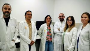 Un estudio de la Universidad de Extremadura propone un nuevo método para mejorar la fertilidad en yeguas