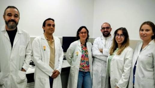 Un estudio de la Universidad de Extremadura propone un nuevo método para mejorar la fertilidad en yeguas