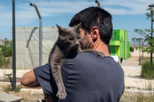 El recinto para gatos del Centro de Protección Animal se amplía para acoger la colonia felina del Portillo