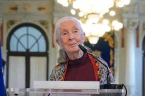 La Facultad de Veterinaria de la UCM acogerá este miércoles un homenaje a la etóloga Jane Goodall