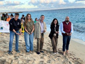El Govern libera en el mar 34 tortugas marinas nacidas este verano en Can Pere Antoni