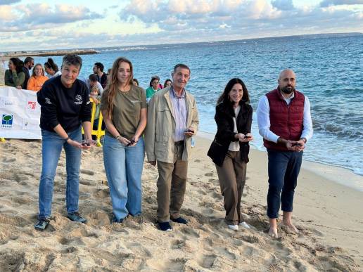 El Govern libera en el mar 34 tortugas marinas nacidas este verano en Can Pere Antoni