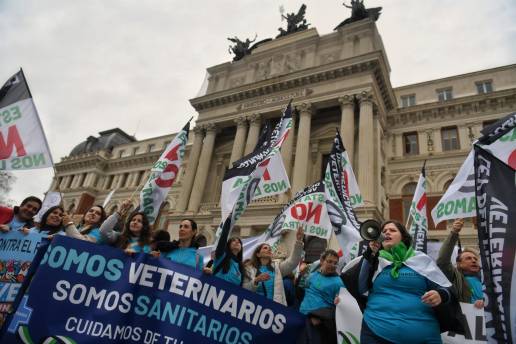Veterinarios se concentrarán el próximo martes frente a Agricultura para exigir la derogación de la Ley del Medicamento