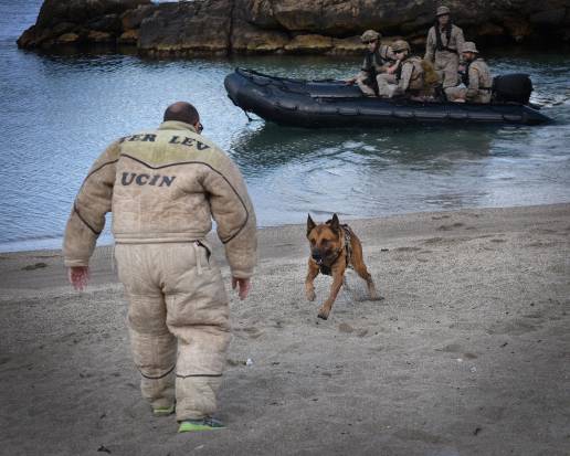 La Fuerza de Protección de la Armada realizará un ejercicio con unidades caninas la próxima semana en Cartagena