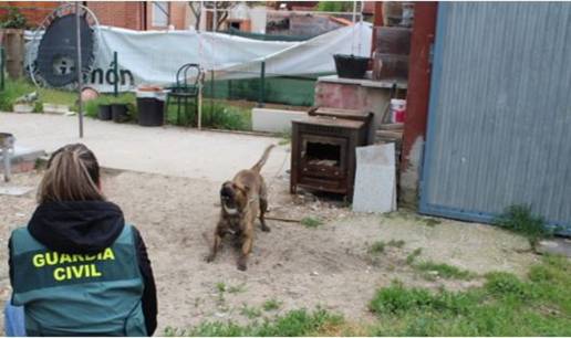 Investigada una mujer por el ataque de sus cuatro perros a un vecino de Alcazarén y su can