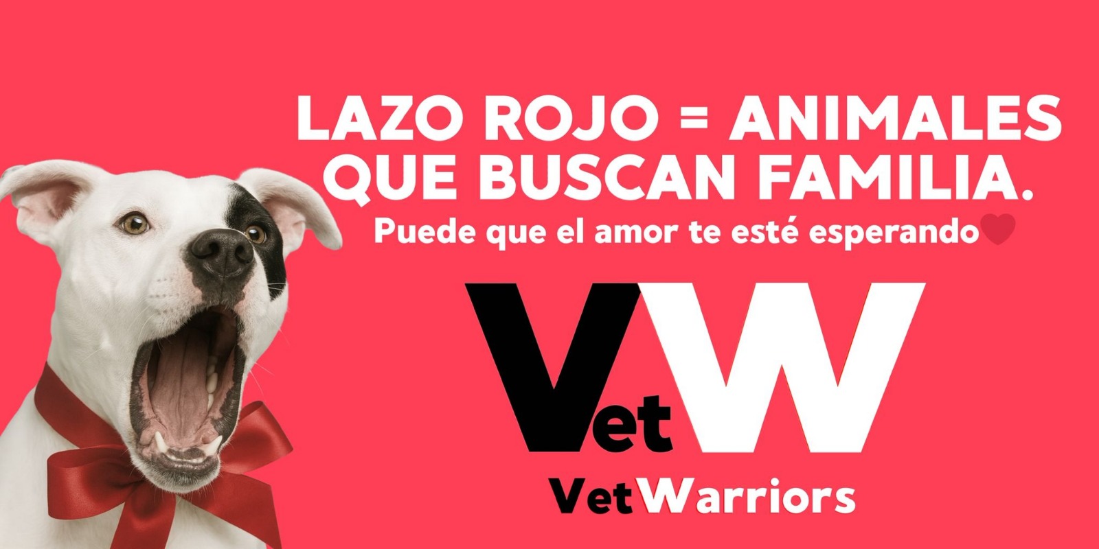 Miles de veterinarios se darán cita el 9 de noviembre en Barcelona para defender una veterinaria con ciencia y dignidad
