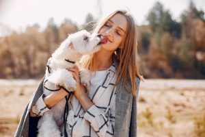 Derechos Sociales quiere que el maltrato a mascotas para dañar a la mujer se incluya en la Ley como violencia vicaria