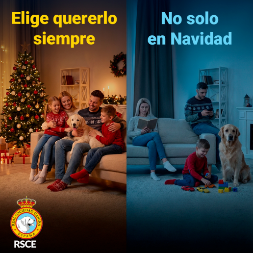 Uno de cada cuatro perros se abandona tras la Navidad y un 16% se adopta en vísperas de estas fiestas