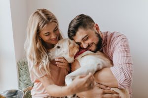 5 consejos para cuidar a tu mascota en esta época del año Navidad pet-friendly: pequeños gestos que convierten tu hogar en un refugio festivo