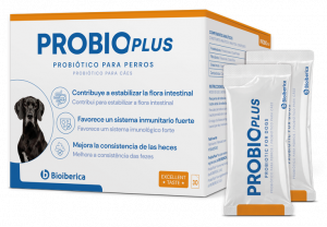 Bioiberica lanza ProbioPlus®, el primer suplemento con concepto Triplebiótico más Vitamina B12 para el bienestar digestivo de los perros