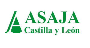 Asaja de Castilla y León exige un control de censos de jabalíes para la prevención y control de las peste porcina africana