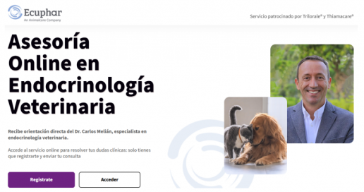 ECUPHAR veterinaria abre un servicio consultoría on line en endocrinología de la mano del experto Dr.Carlos Melian