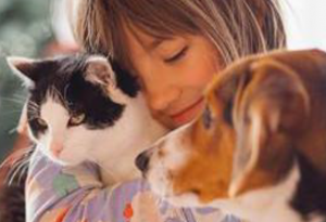 COLVEMA lanza una herramienta online para fomentar la tenencia responsable de mascotas