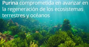Purina comprometida en avanzar en la regeneración de los ecosistemas terrestres y océanos