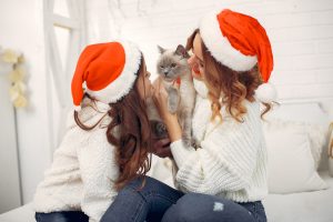 Los animales no son juguetes: la llamada a una Navidad más consciente