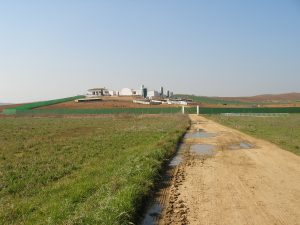 El diseño constructivo de las granjas es la primera barrera para reducir el riesgo de entrada y difusión de enfermedades