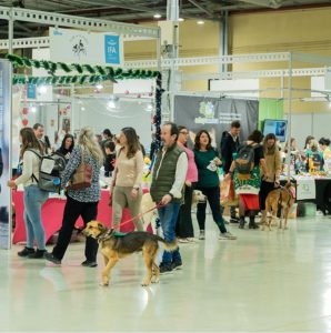 Expomascotas abre sus puertas este fin de semana en Fira Alacant con actividades y expositores sobre el mundo animal