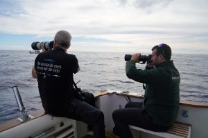 Pescadores de Scientific Angler colaboran con SEO/Birdlife para prevenir capturas accidentales de aves marinas