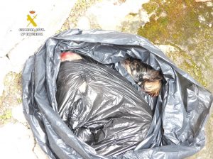 Dos detenidos por la decapitación de dos perros que utilizaron para amenazar
