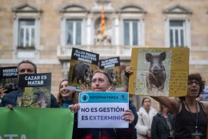 Más de 200 concentrados en Barcelona contra la matanza de jabalíes ante la PPA