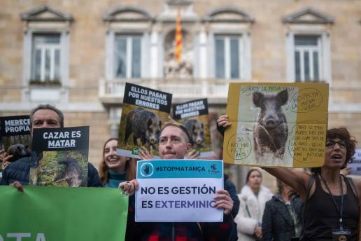 Más de 200 concentrados en Barcelona contra la matanza de jabalíes ante la PPA