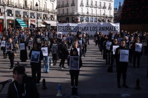 Cientos de activistas se concentran en Madrid para denunciar el maltrato animal en granjas y mataderos