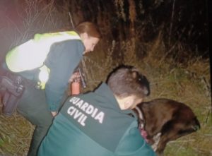 Guardia Civil y Bomberos rescatan a tres perros caídos a un barranco en la N-232 entre Torremontalbo y Cenicero