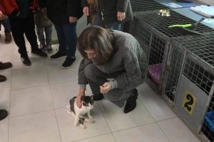 Xunta aboga por la "adopción responsable" de animales abandonados y subraya que "no son juguetes ni regalos a la ligera"