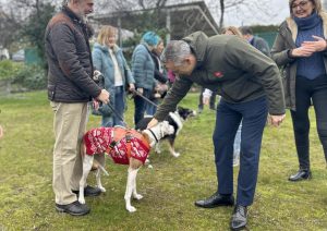 La Comunidad renueva la aplicación móvil Mascomad para potenciar la adopción de animales de compañía