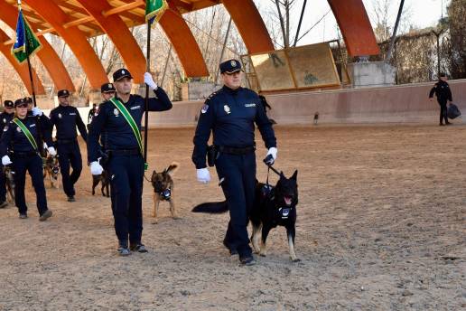 La Policía conmemora los aniversarios de Caballería y Guías Caninos subrayando el compromiso con el bienestar animal