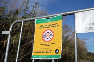 Guardia Civil y Mossos entran en el laboratorio del IRTA de Cerdanyola (Barcelona) por la PPA