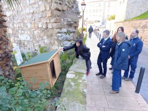 El Ayuntamiento comienza a instalar casetas para las 123 colonias felinas censadas y controladas en la ciudad