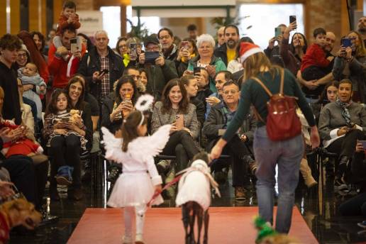 La II Fashion Pet Christmas muestra la labor de las protectoras y conciencia sobre la importancia de adoptar