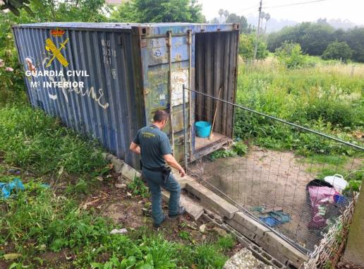 Investigan a dos personas en Pontevedra por malos tratos animales tras la muerte de un can