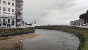 Valdés detecta dos casos de gripe aviar en patos Archivo - Río Negro en Luarca, Valdés. Archivo - Río Negro en Luarca, Valdés. - EUROPA PRESS - Archivo OVIEDO 29 Dic. (EUROPA PRESS) - El alcalde de Valdés, Óscar Pérez, ha informado de la detección de dos casos positivos de gripe aviar en ejemplares de patos en elrío Negro, a su paso por Luarca. A través de un bando municipal, el primer edil ha indicado que, con el fin de garantizar la seguridad ciudadana y la salud pública, se han dictado una serie de directrices en explotaciones ganaderas y espacios públicos y privados. En primer lugar, respecto a la posible aparición de casos en granjas o explotaciones avicolas, se actuará "en estricta observancia de los protocolos especificos dictados por las autoridades sanitarias y de sanidad animal competentes". En caso de que se detecten aves muertas en espacios públicos o privados --fuera del ámbito de gallineros o explotaciones--, los ciudadanos deberán llamar al teléfono 112. Por último está "terminantemente" prohibido el contacto físico con cualquier ave muerta o con sintomas de enfermedad. "La manipulación y retirada de los ejemplares será realizada única y exclusivamente por el personal especializado de los servicios dependientes del Principado de Asturias", indica el texto. El Ayuntamiento de Luarca recuerda que el contagio de aves a humanos es una circunstancia "muy ocasional". No obstante, las mascotas pueden contagiarse si entran en contacto directo con aves muertas infectadas y estos animales podrían actuar posteriormente como vectores de transmisión del virus a los seres humanos. Como medida de seguridad excepcional y preventiva, se ha prohibido el acceso a las márgenes del río Negro en todo el casco urbano de Luarca.