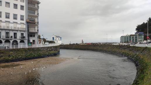 Valdés detecta dos casos de gripe aviar en patos Archivo - Río Negro en Luarca, Valdés. Archivo - Río Negro en Luarca, Valdés. - EUROPA PRESS - Archivo OVIEDO 29 Dic. (EUROPA PRESS) - El alcalde de Valdés, Óscar Pérez, ha informado de la detección de dos casos positivos de gripe aviar en ejemplares de patos en elrío Negro, a su paso por Luarca. A través de un bando municipal, el primer edil ha indicado que, con el fin de garantizar la seguridad ciudadana y la salud pública, se han dictado una serie de directrices en explotaciones ganaderas y espacios públicos y privados. En primer lugar, respecto a la posible aparición de casos en granjas o explotaciones avicolas, se actuará 