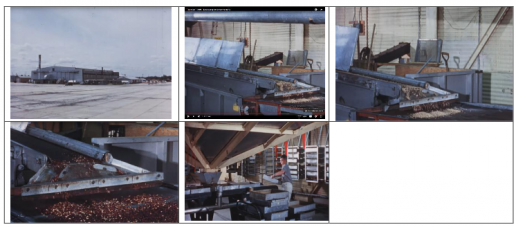 DOCUMENTAL Cochliomyia hominivorax, (Coquerel, 1858) (Gagne 1981). PRODUCIR PUPA Y MOSCA ESTÉRIL P V (5-6)