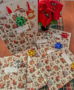 Las organizaciones veterinarias del Comité de Crisis Veterinario elevan su protesta con un gesto simbólico navideño y denuncian el inmovilismo institucional