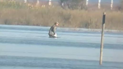 Investigada una persona por la muerte de una especie protegida en un coto de caza en Aznalcázar