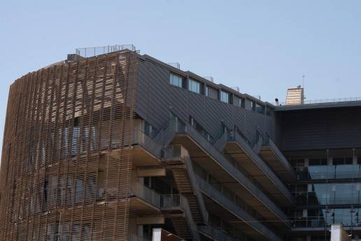 Revelan cómo la cooperación entre especies puede sostener ecosistemas más diversos y resistentes