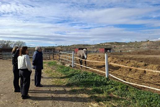 Rincón reconoce la actividad del sector equino en María de Huerva