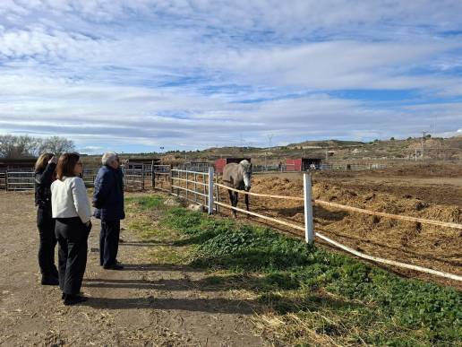 Rincón reconoce la actividad del sector equino en María de Huerva