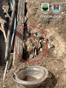 Investigado por maltrato animal al hallarse un perro y un aves muertos en una finca de Las Palmas de Gran Canaria