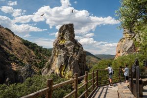 Extremadura mostrará su "excelencia" en turismo ornitológico en FIO del 27 de febrero al 1 de marzo en Monfragüe