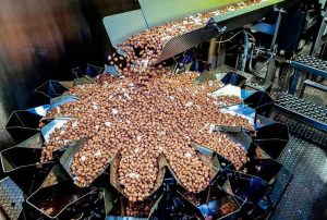 UGT firma revisión salarial de 2025 de industria de fabricación de alimentos para animales con alza del 5,7%