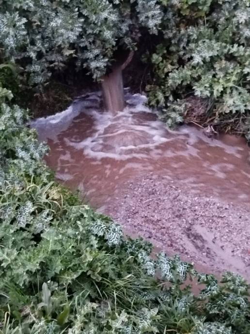 Ecologistas exigen controlar los vertidos de purines ganaderos en la comarca del río Guadalix