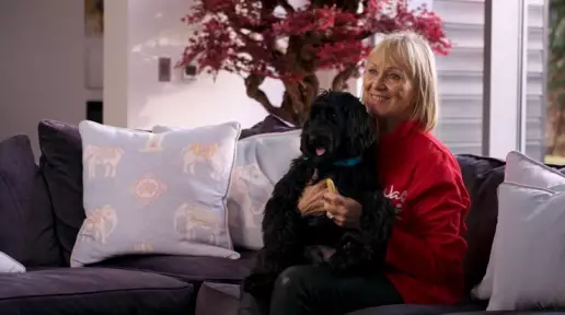 Purina Europa concede 200.000 € a organizaciones que ayudan a personas en situación de vulnerabilidad a través del vínculo humano-animal