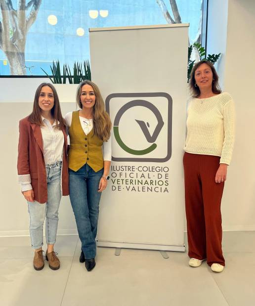 El ICOVV consolida su plan de apoyo emocional tras verificar el grave impacto del desgaste profesional en la veterinaria