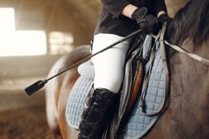 Detienen a un profesor de equitación por maltratar a su caballo durante un campeonato de salto en Gran Canaria